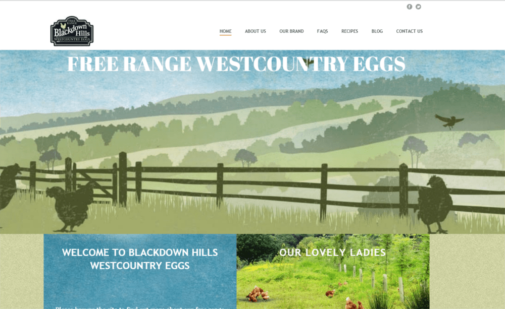 Blackdown Hill Eggs